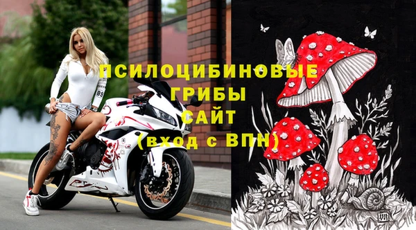 бошки Михайлов