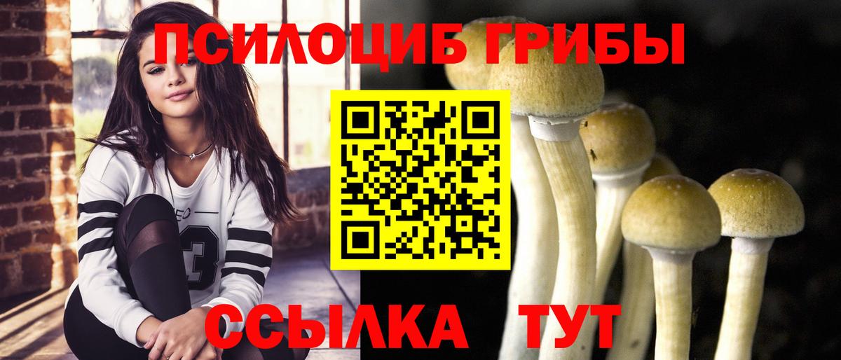 Рассказово  Псилоцибиновые грибы GOLDEN TEACHER  Вход с VPN  магазин  наркотиков  Псилоцибиновые грибы Psilocybine cubensis 